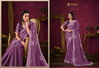Rozana By Rajguru Fancy Designer Saree Wholesale In Surat
